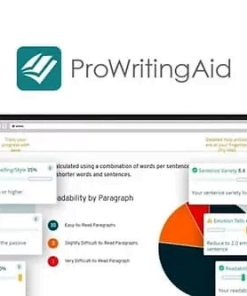 Prowritingaid Premium
