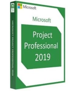 Project 2019 Professional 1Pc Key