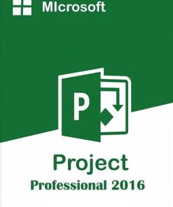 Project Professional 2016 For 1Pc Key