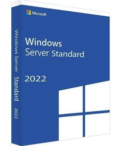 Windows Server 2022 Standard Digital Key