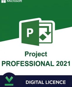 Project 2021 Professional 1Pc Key