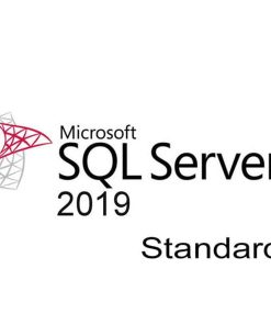 SQL Server 2019 Standard for 1 User - Online/ Retail key