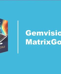 Gemvision MatrixGold 2020