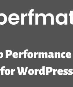 Perfmatters (Complete 1 yr service) For Wordpress